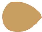 Group