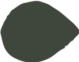 Vector